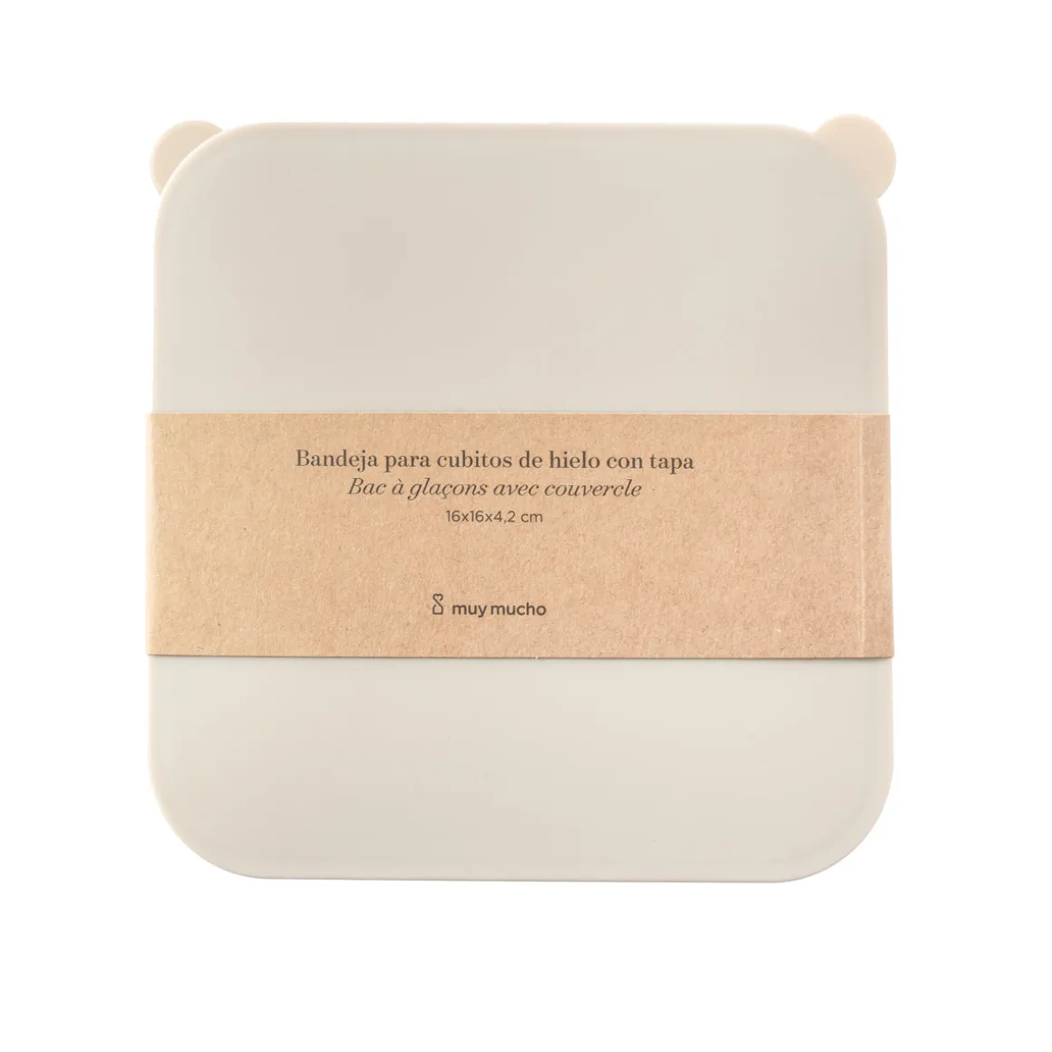 Cubitera con Tapa y Bandeja para Hielo 16 × 16 × 4,2 cm