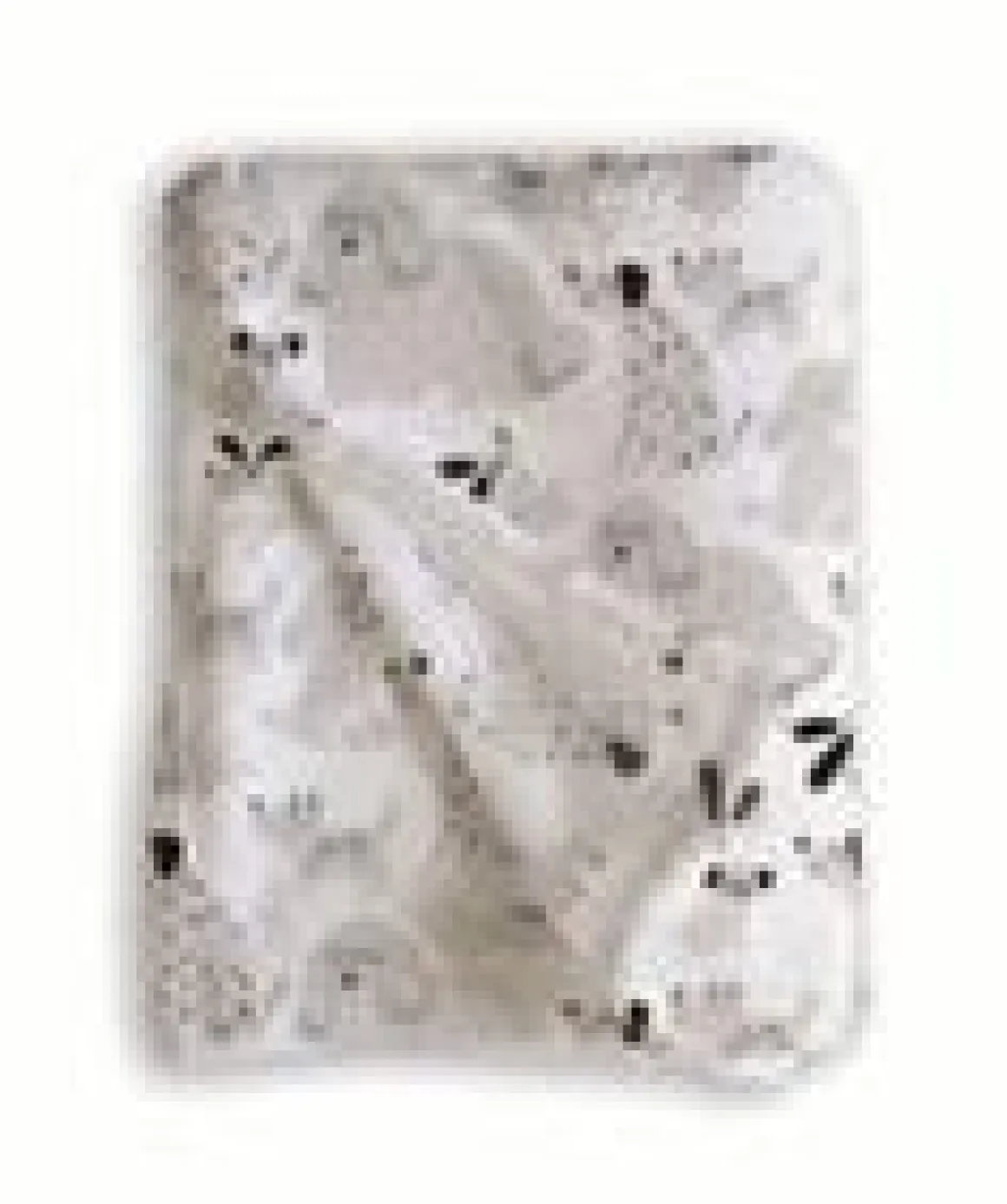 Manta microfibra perros