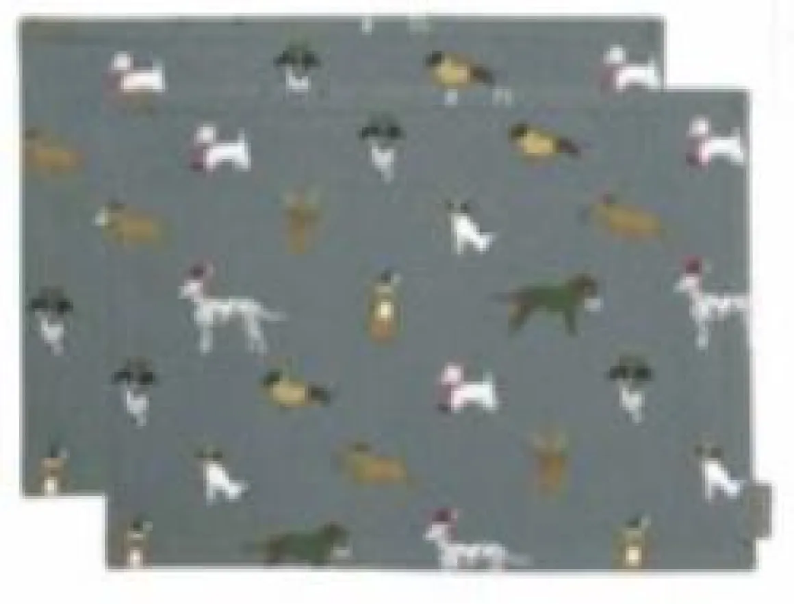 Pack 2 individuales impermeables