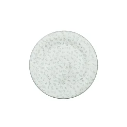 Plato ceramica