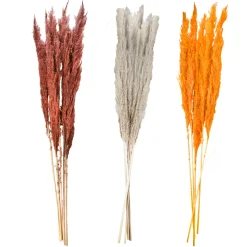 Surtido pluma decorativa